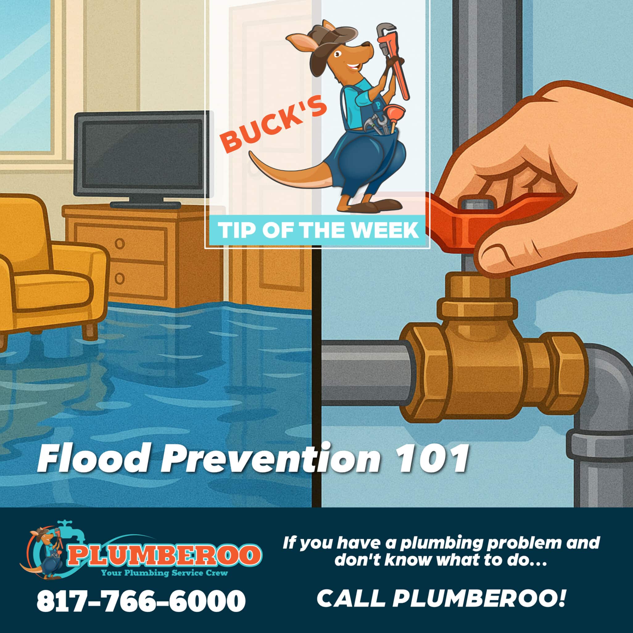 Main Water Shut-Off Valve