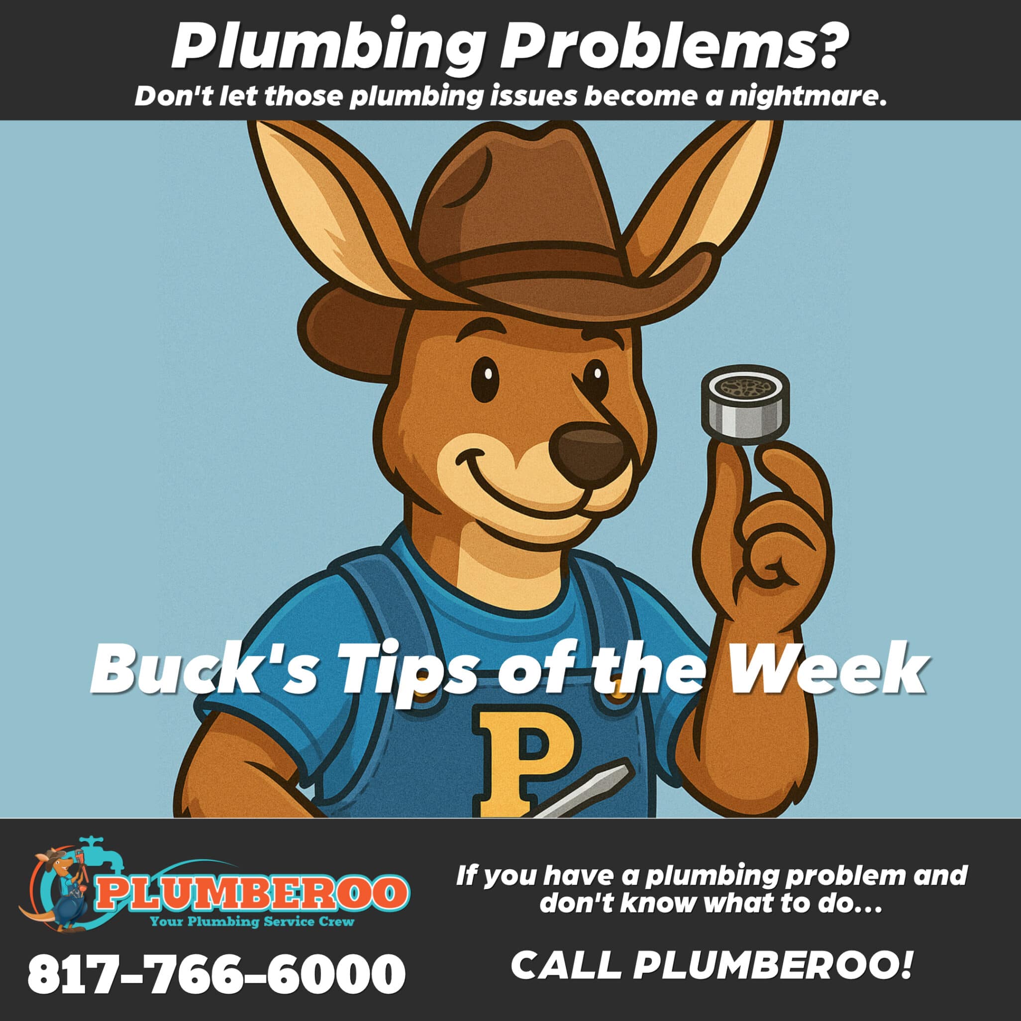 professional plumber